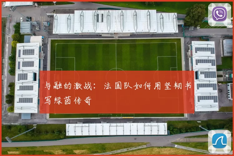 与融的激战：法国队如何用坚韧书写绿茵传奇