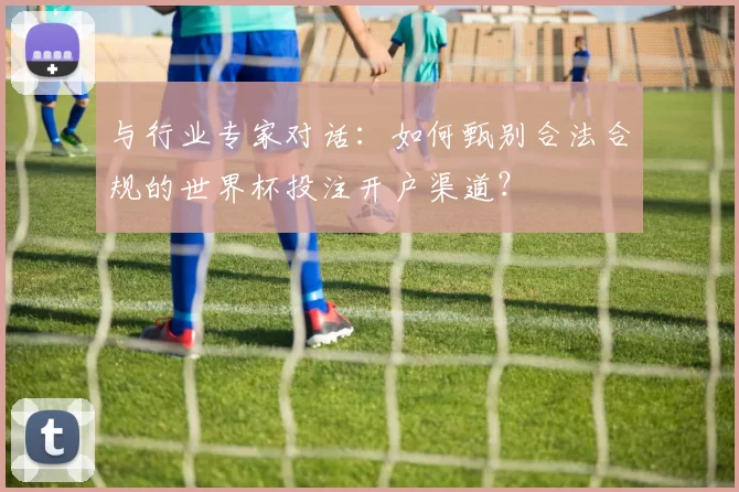 与行业专家对话:如何甄别合法合规的世界杯投注开户渠道?