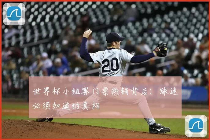 世界杯小组赛门票热销背后:球迷必须知道的真相