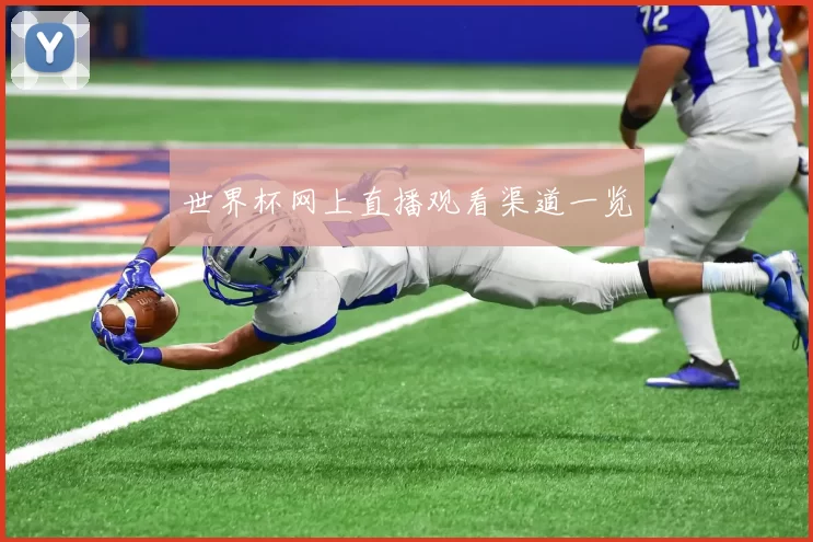 世界杯网上直播观看渠道一览