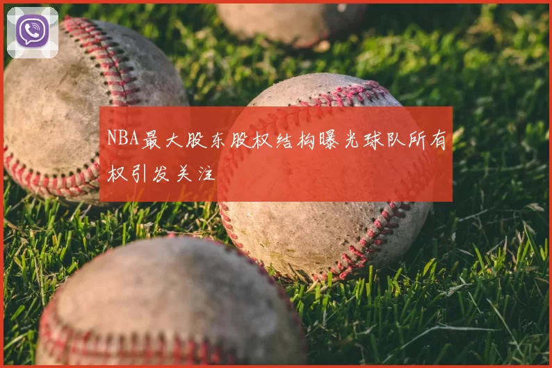 NBA最大股东股权结构曝光球队所有权引发关注