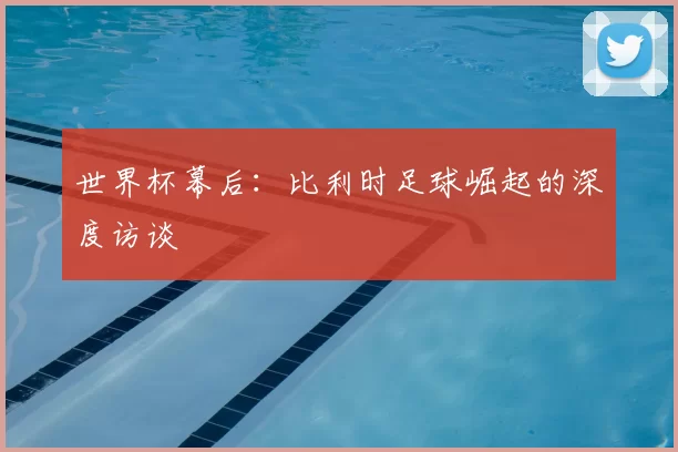 世界杯幕后:比利时足球崛起的深度访谈