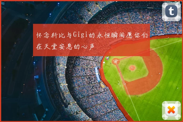 怀念科比与Gigi的永恒瞬间愿你们在天堂安息的心声