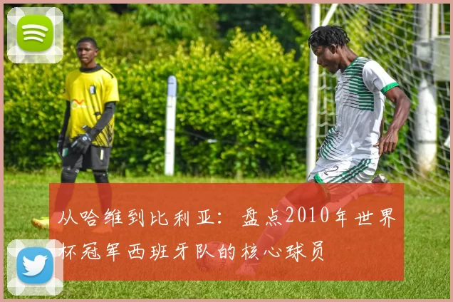 从哈维到比利亚：盘点2010年世界杯冠军西班牙队的核心球员