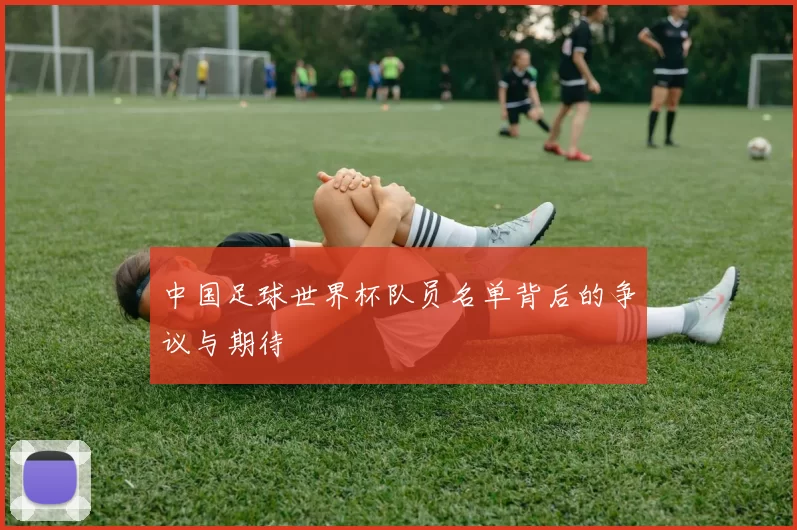 中国足球世界杯队员名单背后的争议与期待