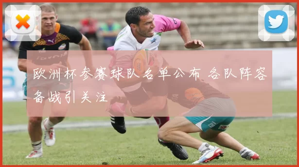 欧洲杯参赛球队名单公布 各队阵容备战引关注