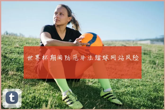 世界杯期间防范非法赌球网站风险